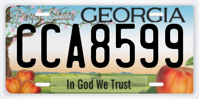 GA license plate CCA8599