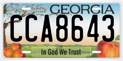 GA license plate CCA8643