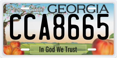 GA license plate CCA8665