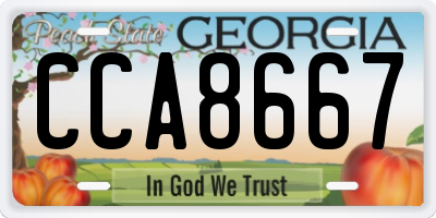 GA license plate CCA8667