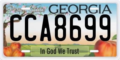 GA license plate CCA8699