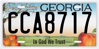 GA license plate CCA8717