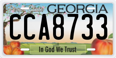 GA license plate CCA8733