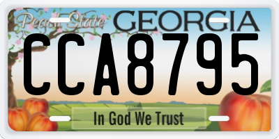 GA license plate CCA8795