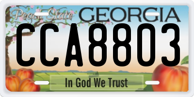 GA license plate CCA8803