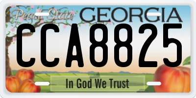 GA license plate CCA8825