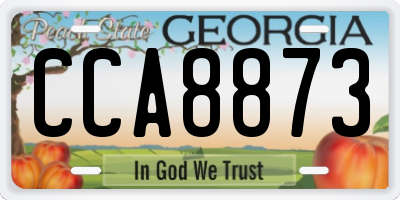 GA license plate CCA8873