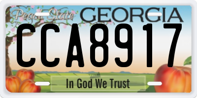 GA license plate CCA8917