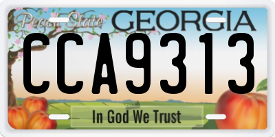 GA license plate CCA9313