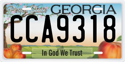 GA license plate CCA9318