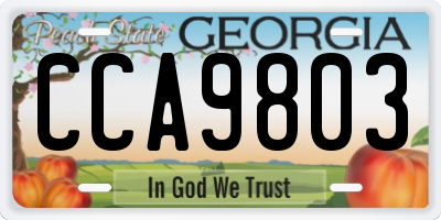 GA license plate CCA9803