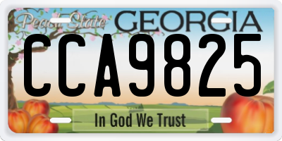 GA license plate CCA9825