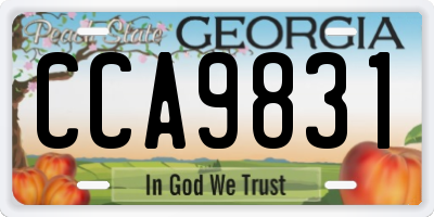 GA license plate CCA9831