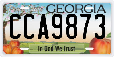 GA license plate CCA9873