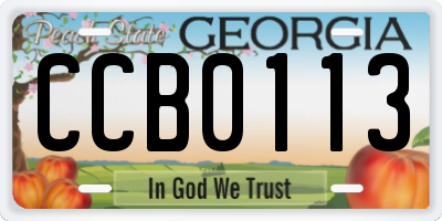 GA license plate CCB0113