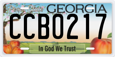 GA license plate CCB0217