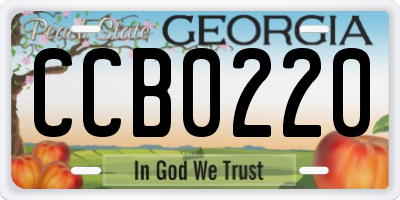 GA license plate CCB0220