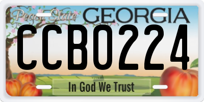 GA license plate CCB0224