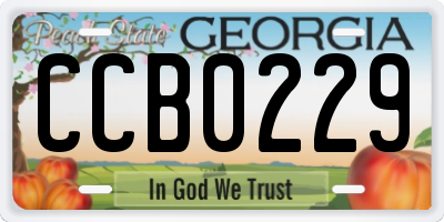 GA license plate CCB0229