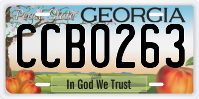 GA license plate CCB0263