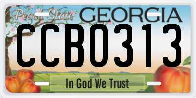 GA license plate CCB0313