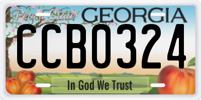GA license plate CCB0324