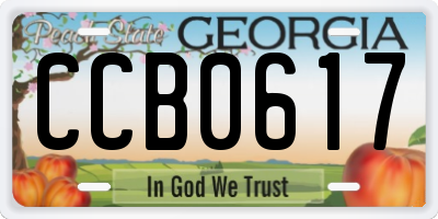 GA license plate CCB0617