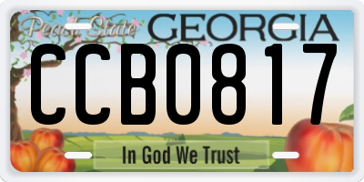 GA license plate CCB0817