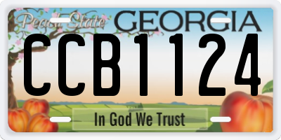 GA license plate CCB1124