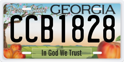 GA license plate CCB1828