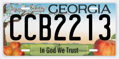 GA license plate CCB2213