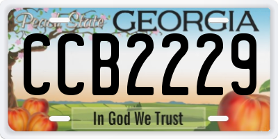 GA license plate CCB2229
