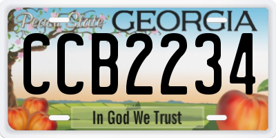 GA license plate CCB2234