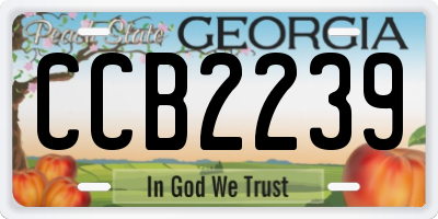 GA license plate CCB2239