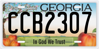 GA license plate CCB2307