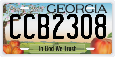 GA license plate CCB2308