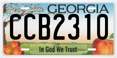 GA license plate CCB2310