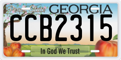 GA license plate CCB2315