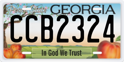 GA license plate CCB2324