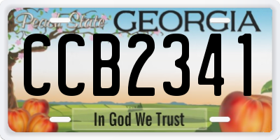 GA license plate CCB2341