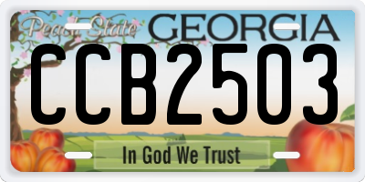 GA license plate CCB2503