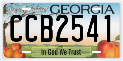 GA license plate CCB2541