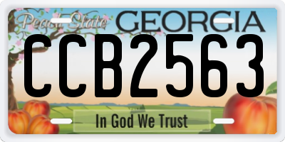 GA license plate CCB2563