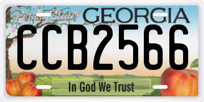 GA license plate CCB2566