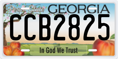 GA license plate CCB2825