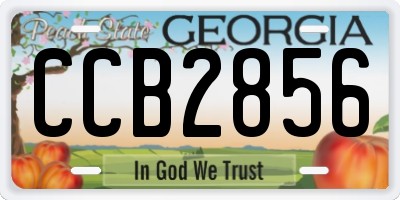 GA license plate CCB2856