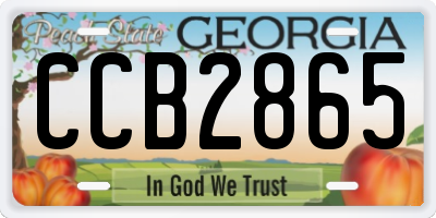 GA license plate CCB2865