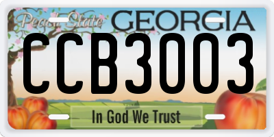 GA license plate CCB3003