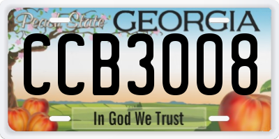GA license plate CCB3008