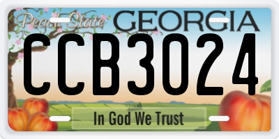 GA license plate CCB3024